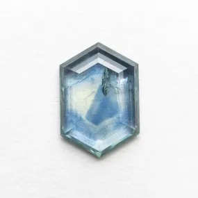 1.38ct 9.11x6.26x1.92mm Hexagon Portrait Cut Sapphire 21590-01