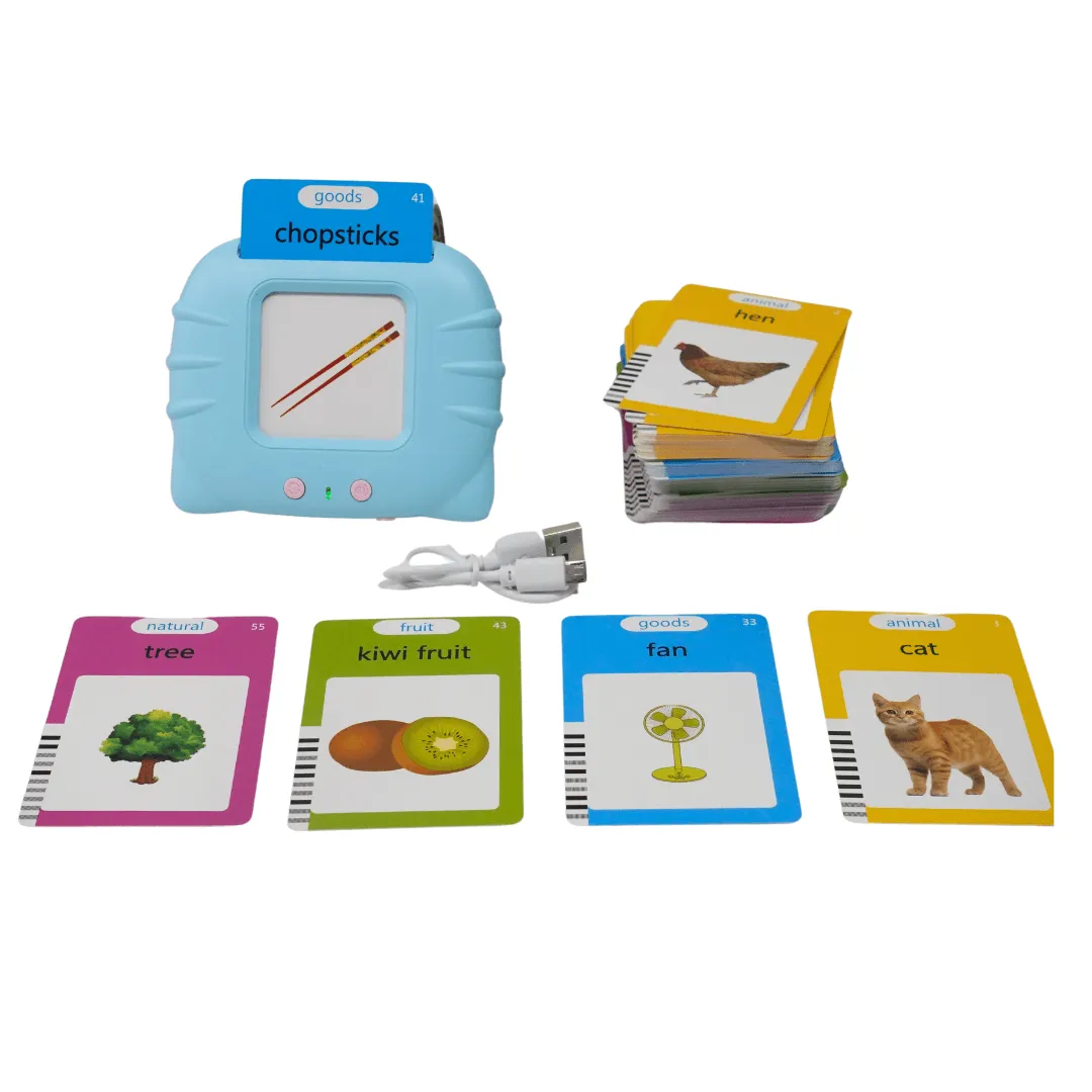 Talking Flash Cards Learning Toys