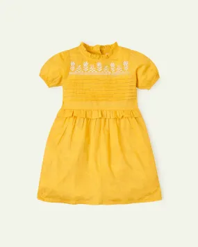 Yellow Embroidered Dress